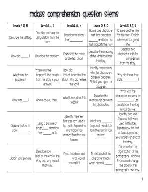 Mclass Question Stems  Form