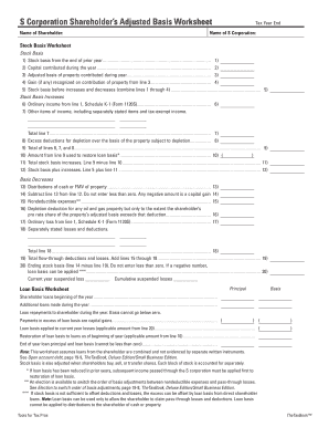 S Corp Shareholder Basis Worksheet Excel  Form
