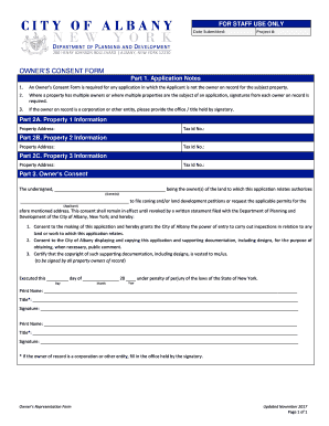 Ny Consent  Form