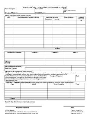 CAREGIVER&#039;S SUPPLEMENTARY EXPENDITURE AFFIDAVIT  Form