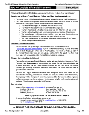F10 02A Financial Statement the Law Courts of Newfoundland  Form