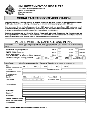 Uk Passport Application  Form