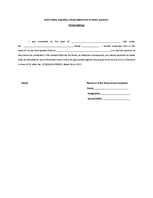 Undertaking for Excess Payment  Form