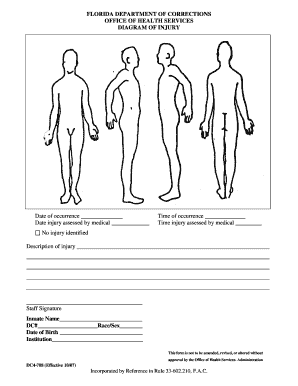 DIAGRAM of INJURY  Form