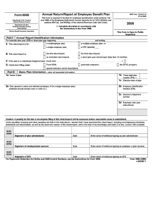 2009 5500 form