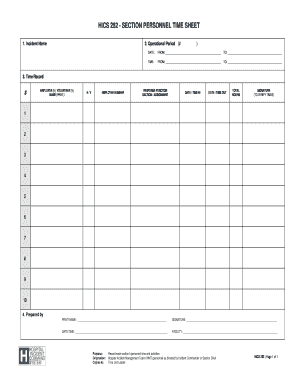 Hics 252  Form