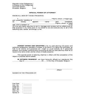 Special Power of Attorney Sample Dfa  Form