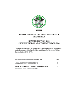 Motor Vehicle and Road Traffic Regulations Belize  Form