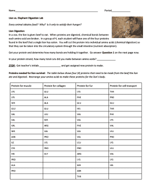 Lion Vs Elephant Digestion Lab Answer Key  Form