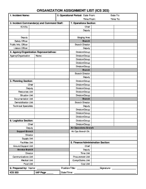 Ics 203  Form