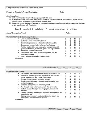 Executive Evaluation Form