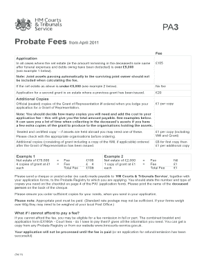 Pa1a Guidance Notes  Form