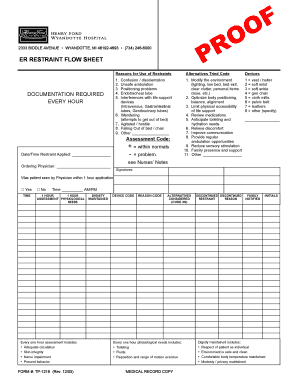 Restraint Flow Sheet  Form