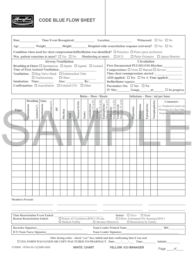 Code Blue Flow Chart  Form