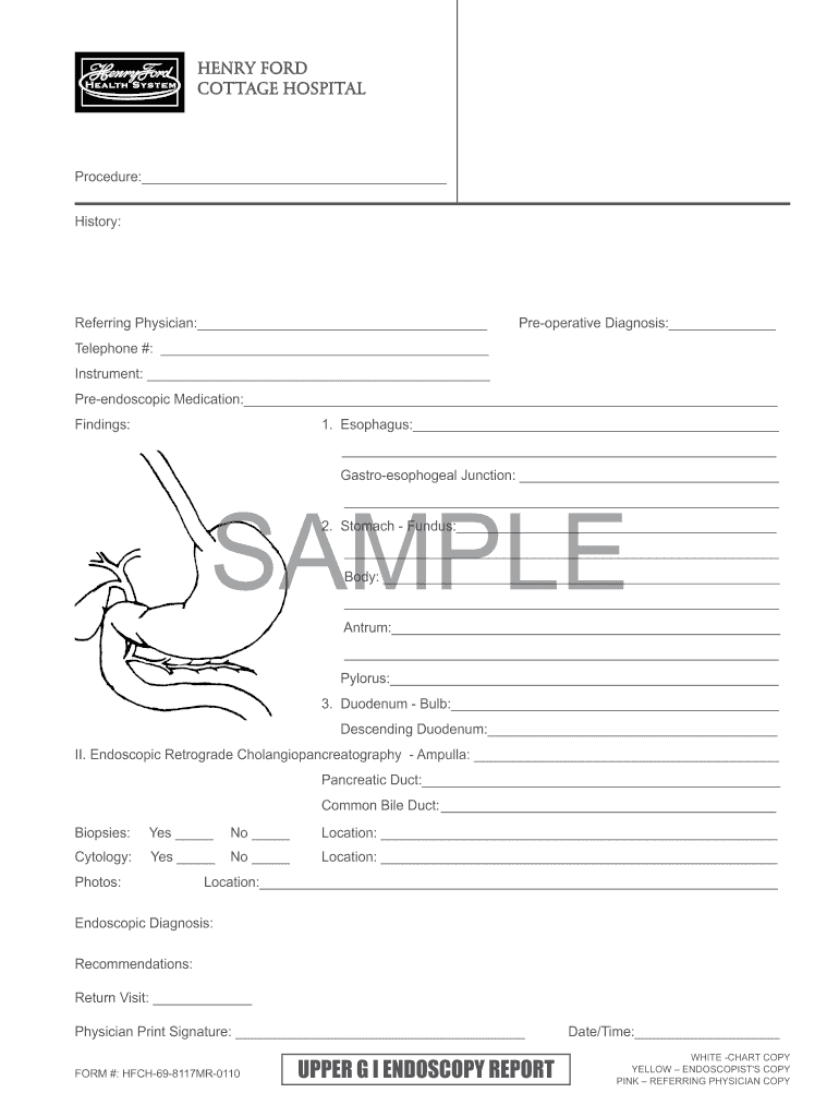 Endoscopy Report Sample PDF  Form