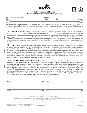 Seller Financing Addendum 312 PDF  Form