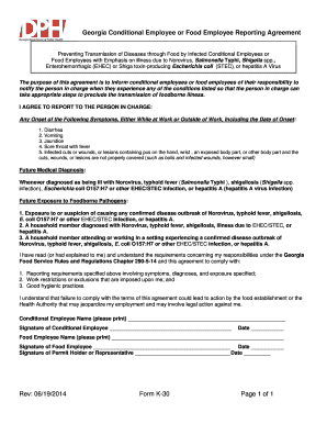  0619 Form K 30 Page 1 of 1 Georgia Conditional Employee 2014