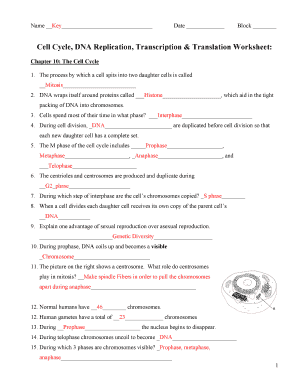 Dna Replication Practice Worksheet  Form