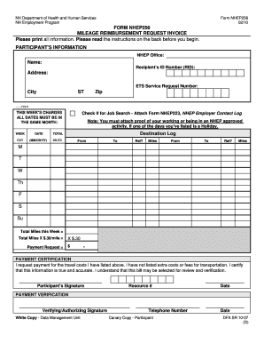 State of New Hampshire 256 Dhhs Nh  Form