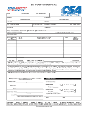 Csa Bol  Form