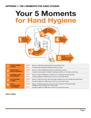 5 Moments of Hand Hygiene PDF  Form