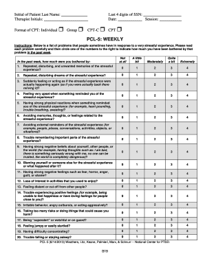 Pcl 5 Weekly  Form