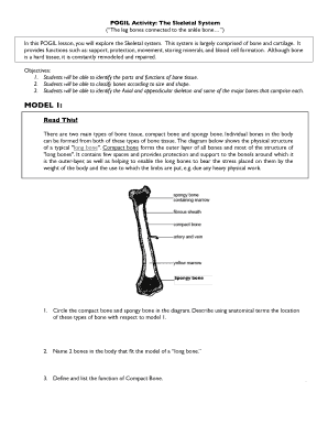 Pogil Activity the Skeletal System Answer Key  Form