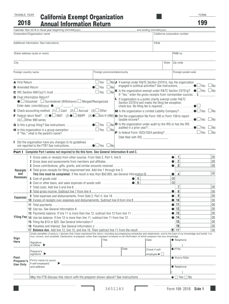  Form 199 2018