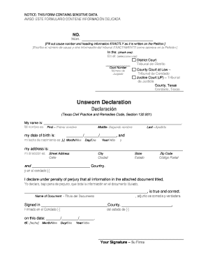 Unsworn Declaration Example  Form