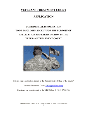 VETERANS TREATMENT COURT APPLICATION Fljud13 Org  Form