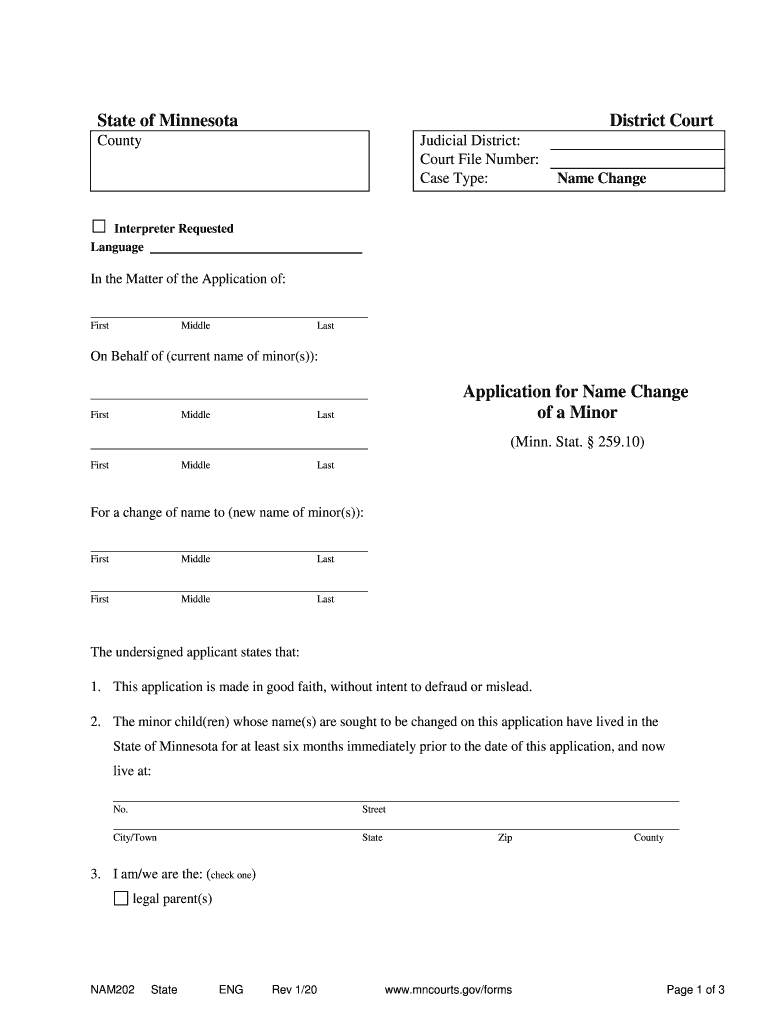 MN NAM202  Form