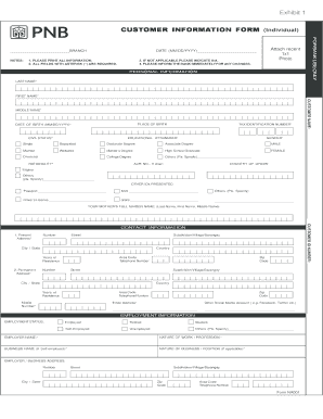  Online Customer Update Form Pnb 2014-2024