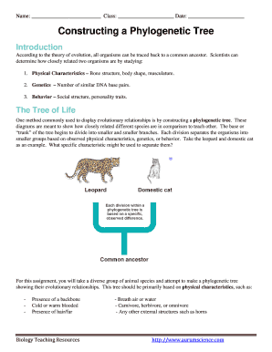 Constructing a Phylogenetic Tree Worksheet Answer Key  Form