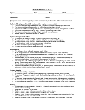 Motor Assessment Scale  Form