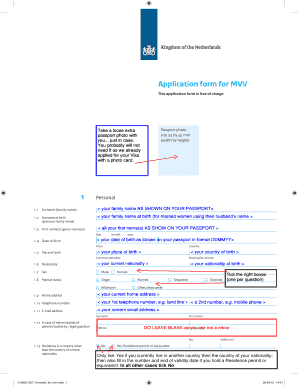 Mvv Issue Form Example