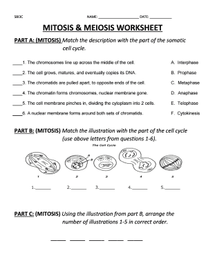 Match the Illustration with the Part of the Cell Cycle  Form