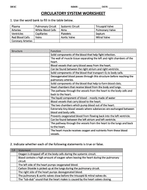 Circulatory System Worksheet PDF  Form