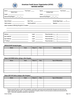 Ayso Report  Form