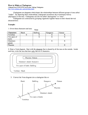 How to Make a Cladogram Worksheet Answers  Form