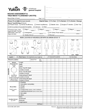 Wound Care Flow Sheet  Form