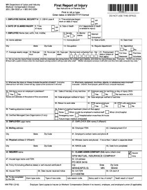  Mn Workman Comp First Report of Injury 2016-2024