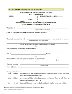 Temporary Guardianship Georgia Form