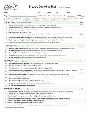 Bicycle Drawing Test  Form