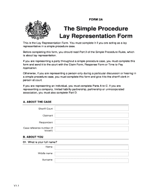 FORM 2A Lay Representation Form Simple Procedure