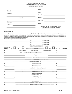 COURT of COMMON PLEAS Hamilton Co Org  Form