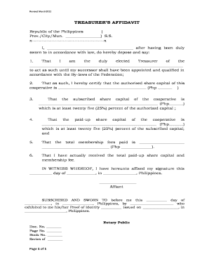Treasurer&#039;s Affidavit Sample  Form
