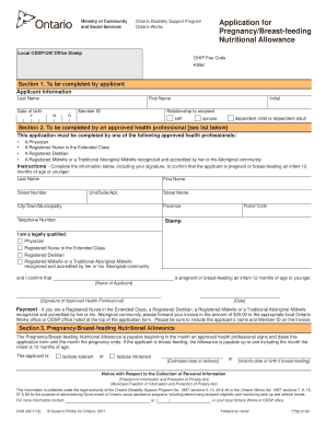 Odsp Pregnancy Allowance  Form