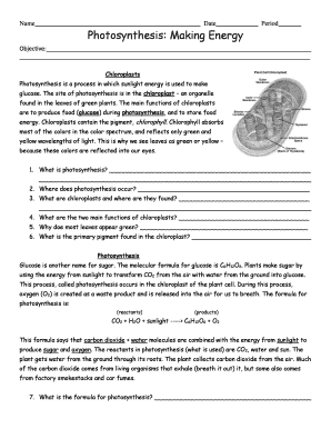 Photosynthesis Making Energy Worksheet  Form