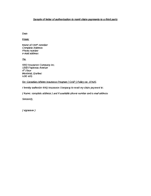 Remittance Letter Template  Form