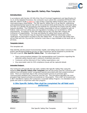 Site Specific Safety Plan Template Word DOC  Form